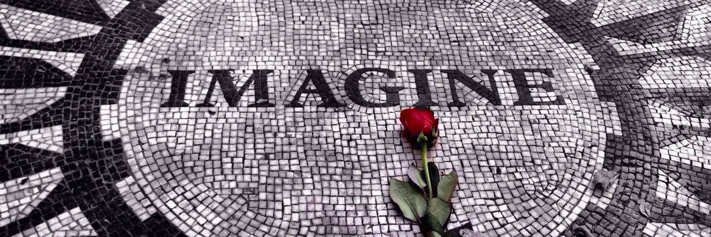 Ms. D. Piazza banner