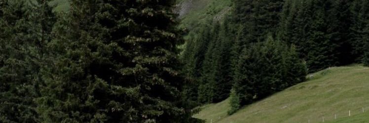 j—y banner