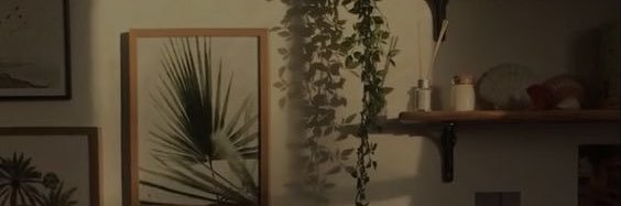 lislissssss's profile banner image