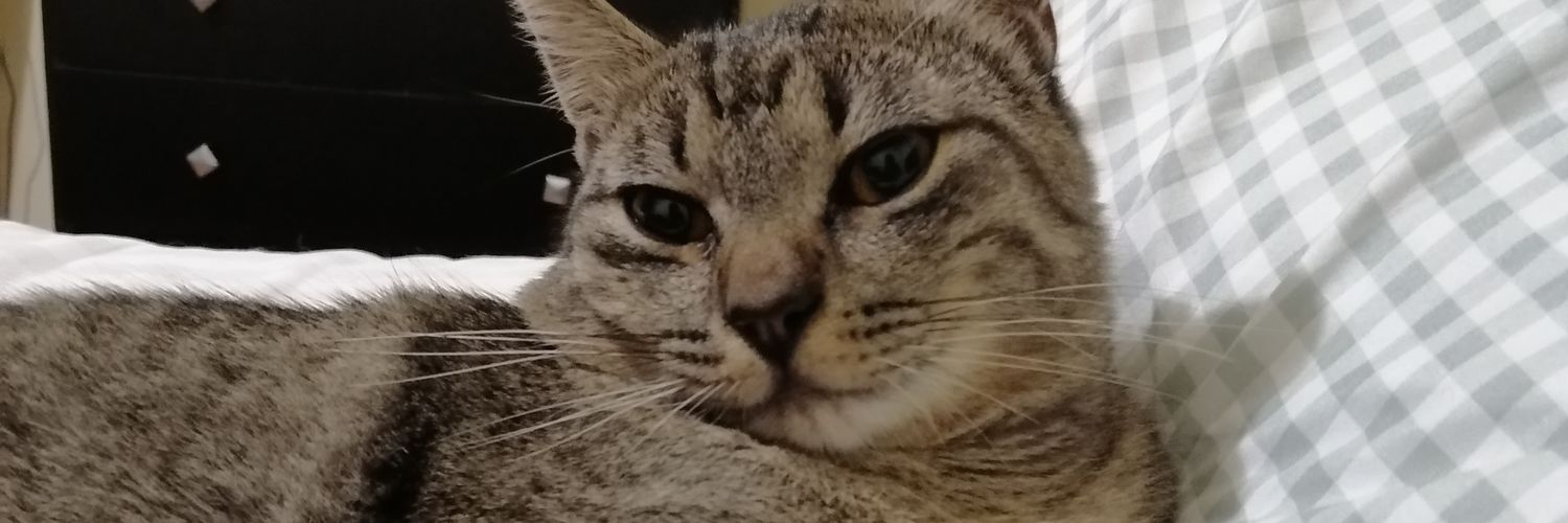 feralglez's profile banner image