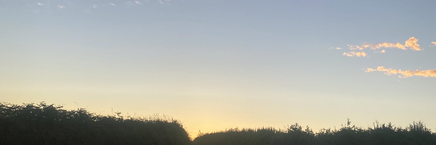 lydia_ring's profile banner image