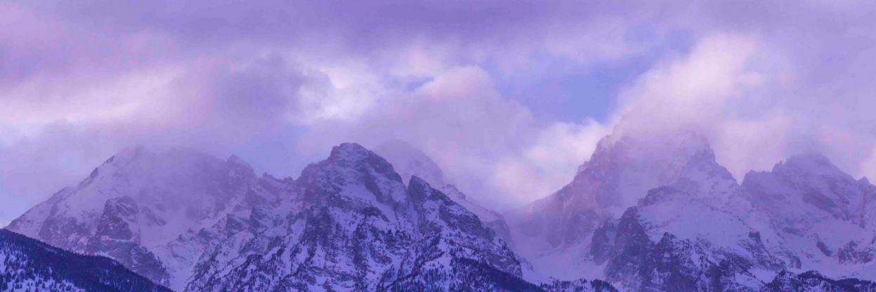 ekelmenson's profile banner image