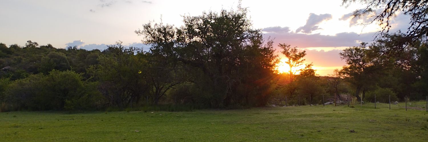 CeciliaCanton's profile banner image