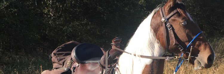 codylicoise95's profile banner image