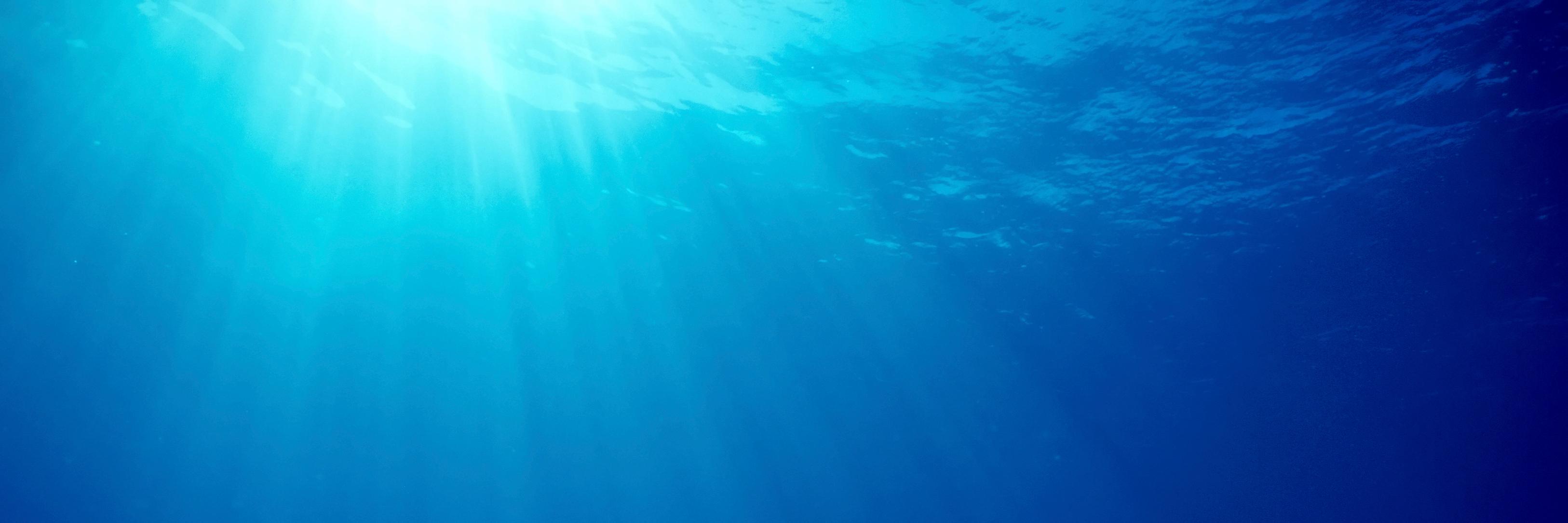 divebot's profile banner image