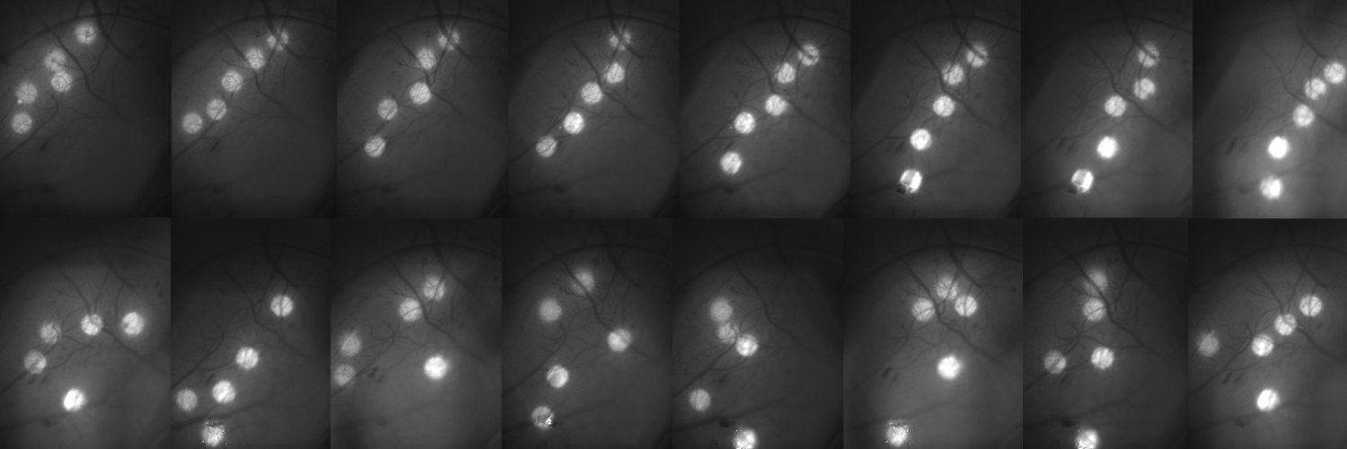 Luc Estebanez banner