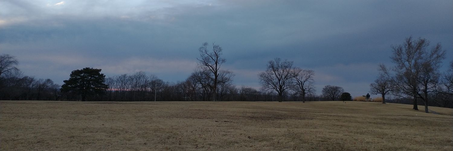 Cass Donish 🐞 they/them banner