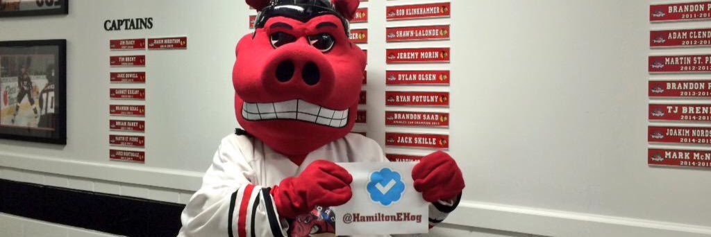 HamiltonEHog's profile banner image
