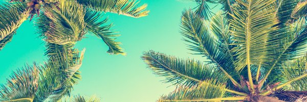 CaleyCosmetics Profile Banner