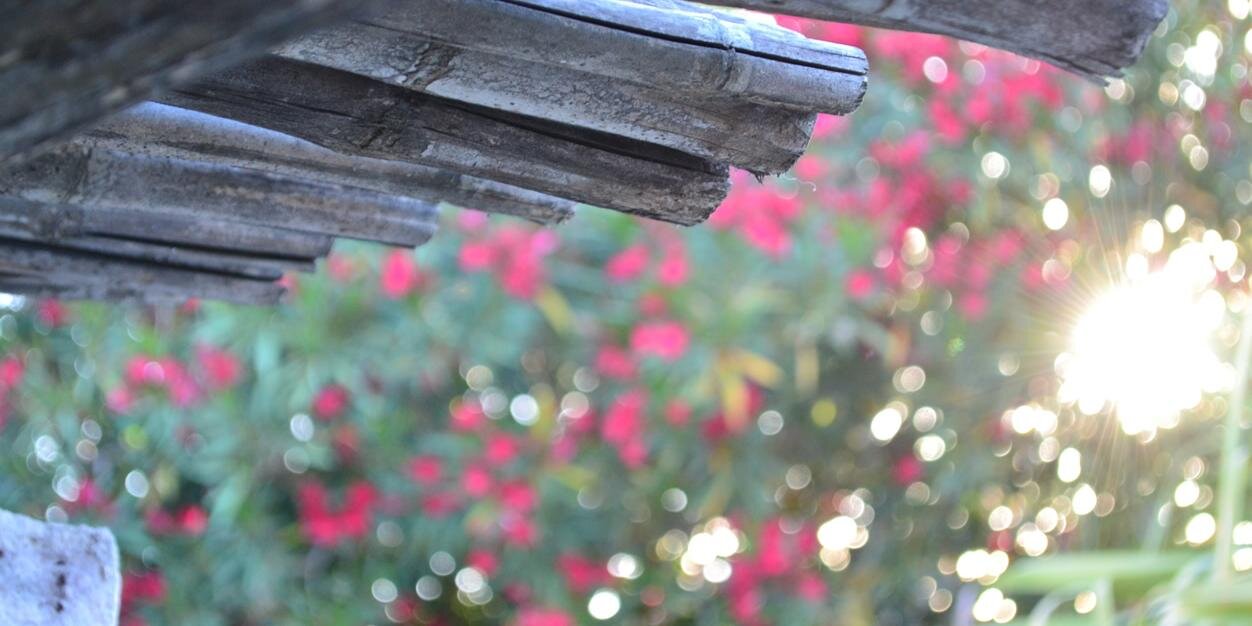 Andrea Cummins ⭐⭐⭐🇦🇷 ☀️ banner