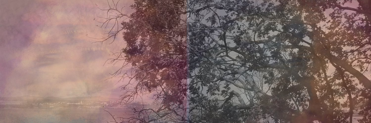 Steven Gribbin banner