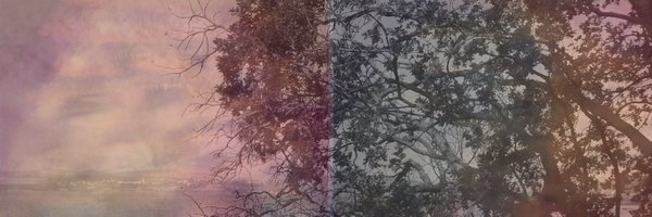 GribbinSteven Profile Banner