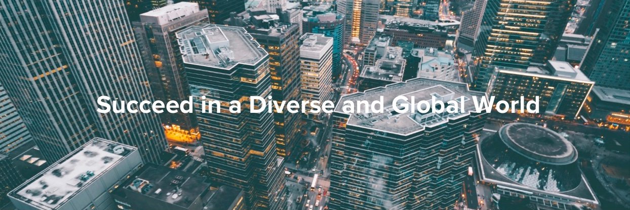 Cultural Intelligence Center banner