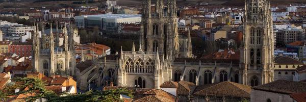 PROANBUR Profile Banner