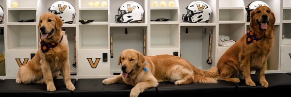 JacksonGroff Profile Banner