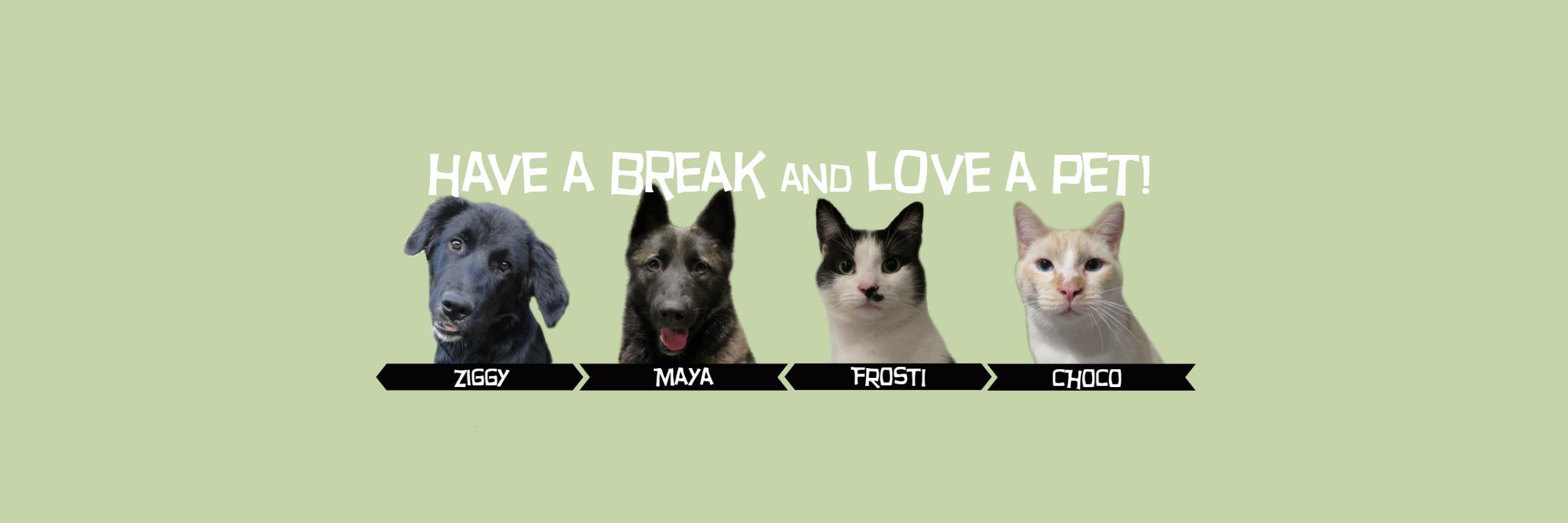 FurryGurus's profile banner image