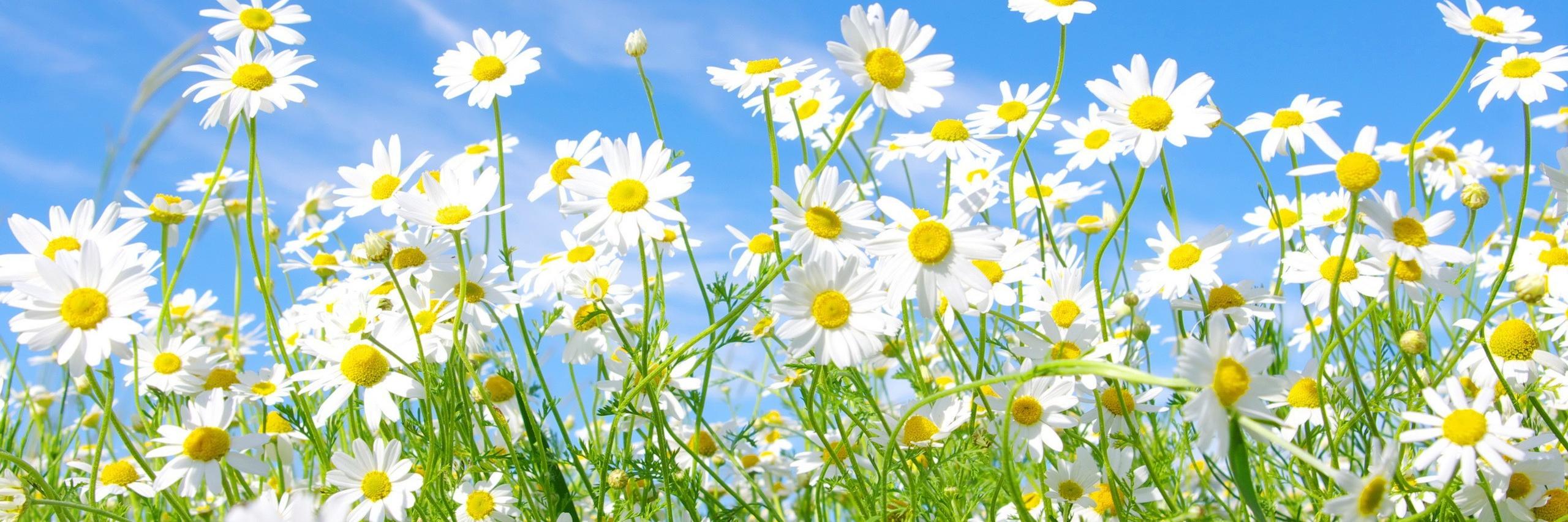 ColeParqueIn's profile banner image