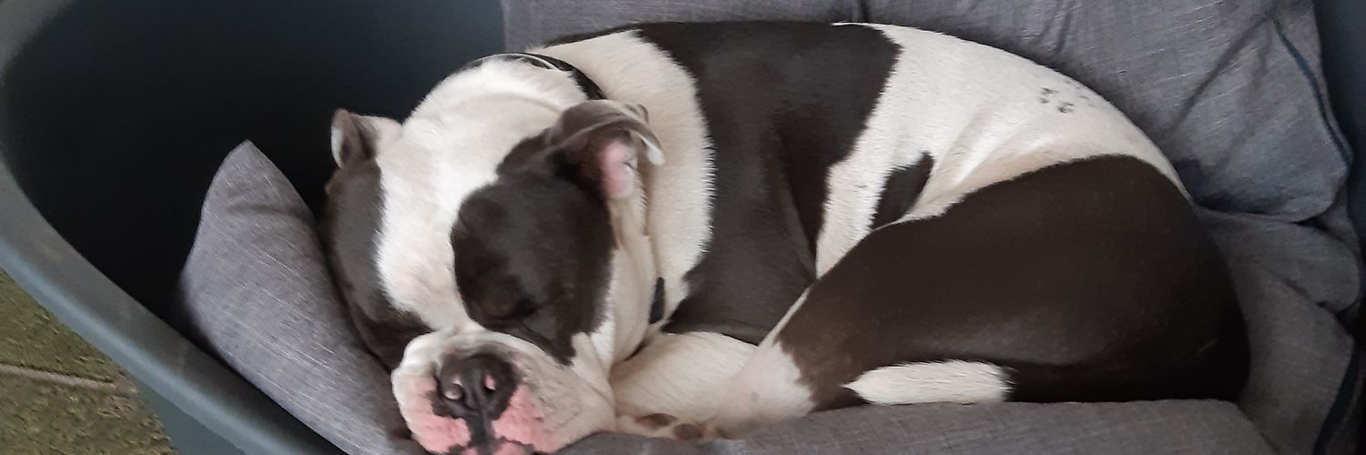 ANJA banner