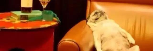 LittleTwitch7's profile banner image