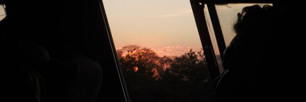 deborahdp Profile Banner