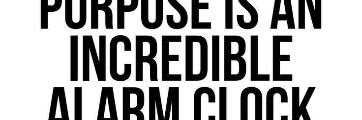iAm_RedSurio's profile banner image