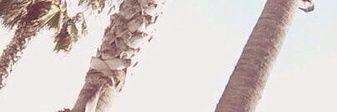 R__Derek__P's profile banner image