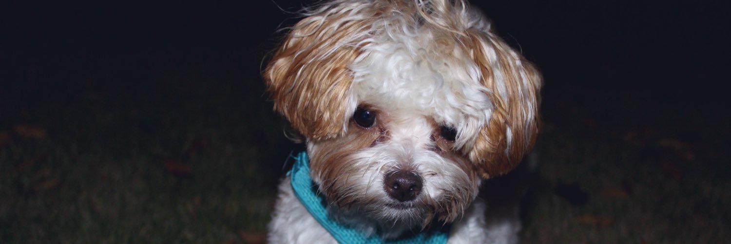 allymichellee's profile banner image