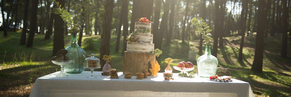 Lago_byLaura's profile banner image