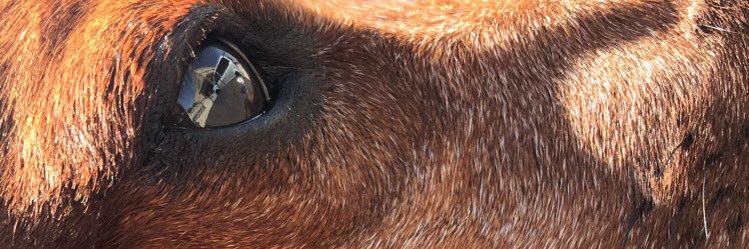 thefight_inside's profile banner image
