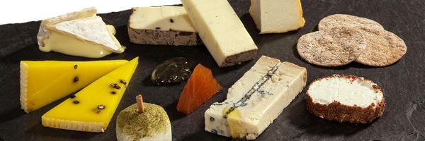 cheese_is_milk Profile Banner