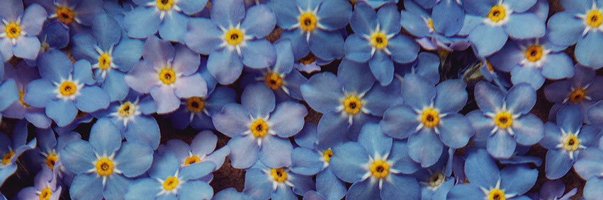 Quinn 💛(G.Quinn Rogers)'s banner