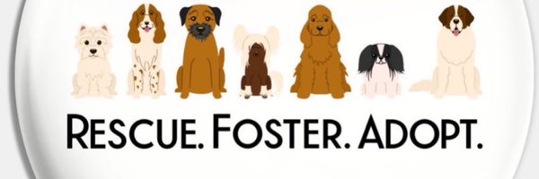 Quinnqueens Profile Banner