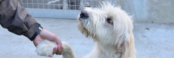 SecondeChance Profile Banner