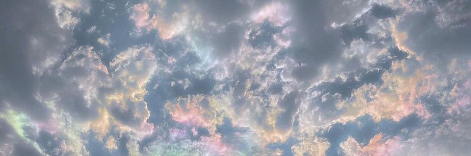 TaylorArmy13's profile banner image