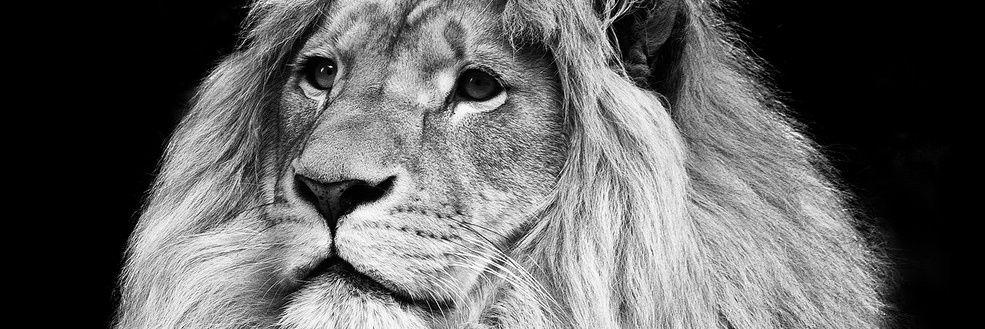 Driesixty's profile banner image