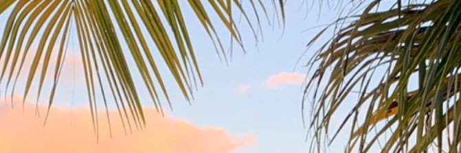 trïnä banner