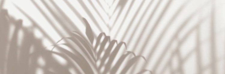 greyhoundwalk's profile banner image
