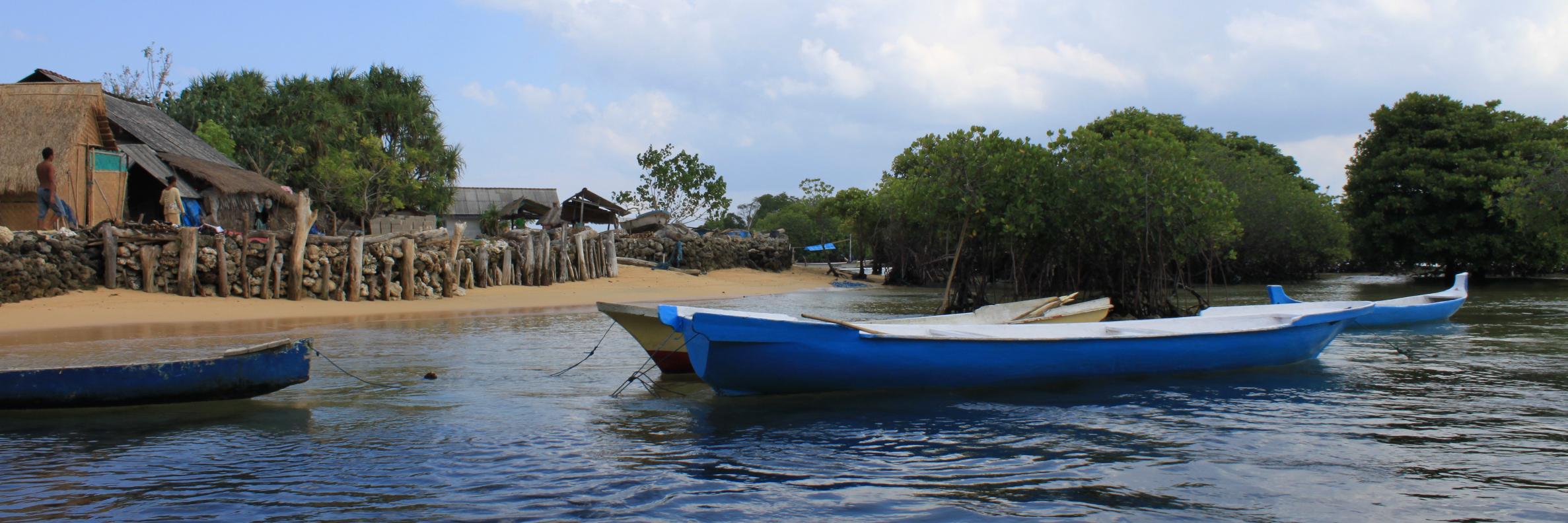 Blue Forests Project banner