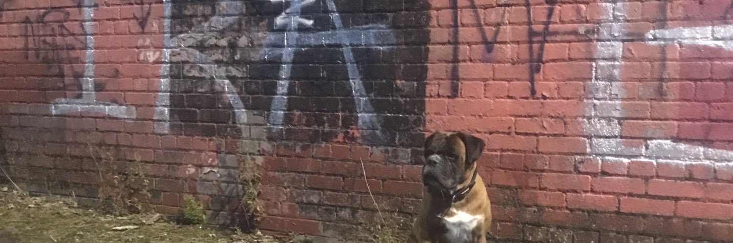 danielwelsh97's profile banner image