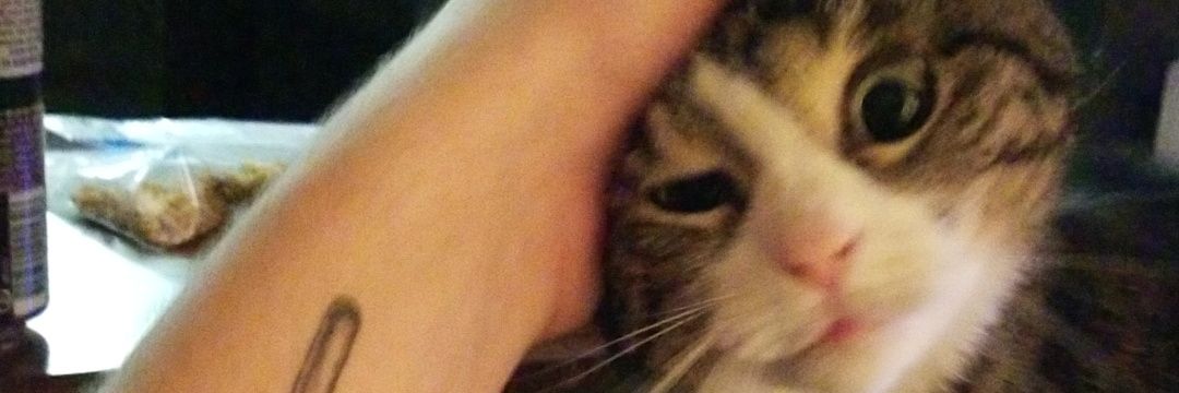 joshymmc's profile banner image