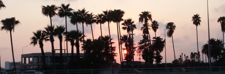 erenebrr's profile banner image
