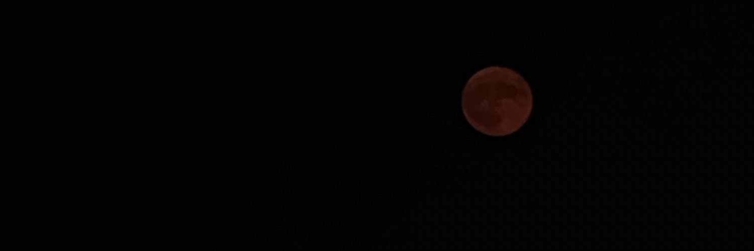 leliidianaa's profile banner image
