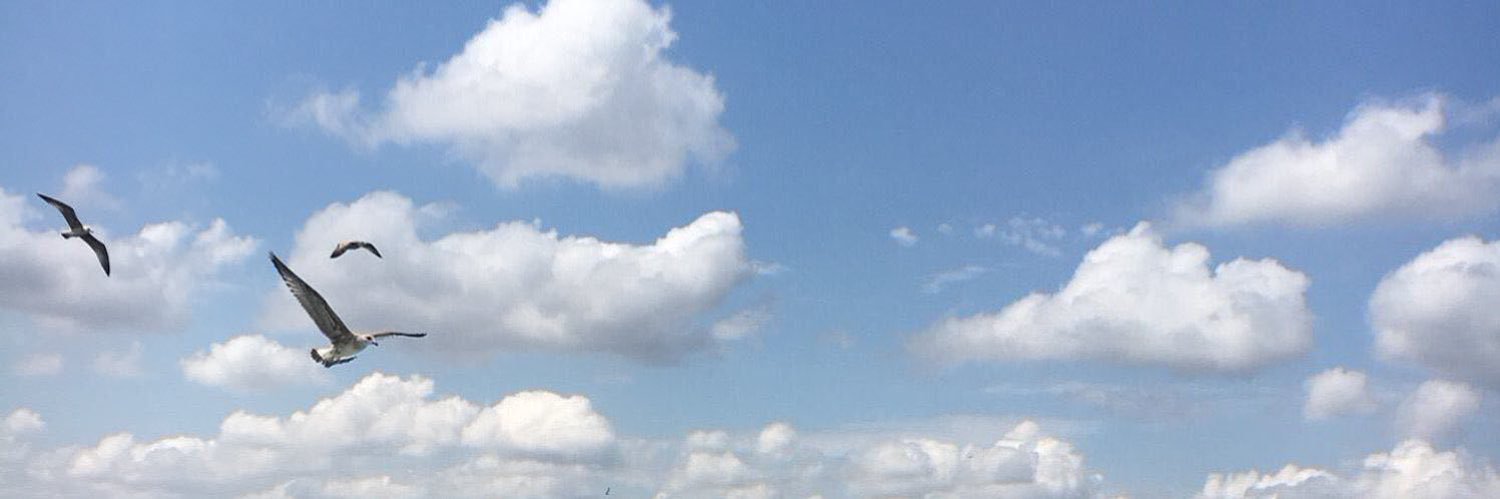 msanure's profile banner image