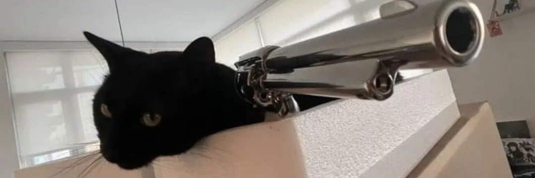 binlinlo's profile banner image