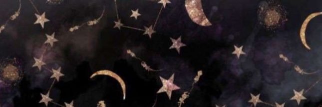 midnighttreader's profile banner image