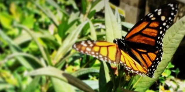 ImmaShermanTank's profile banner image