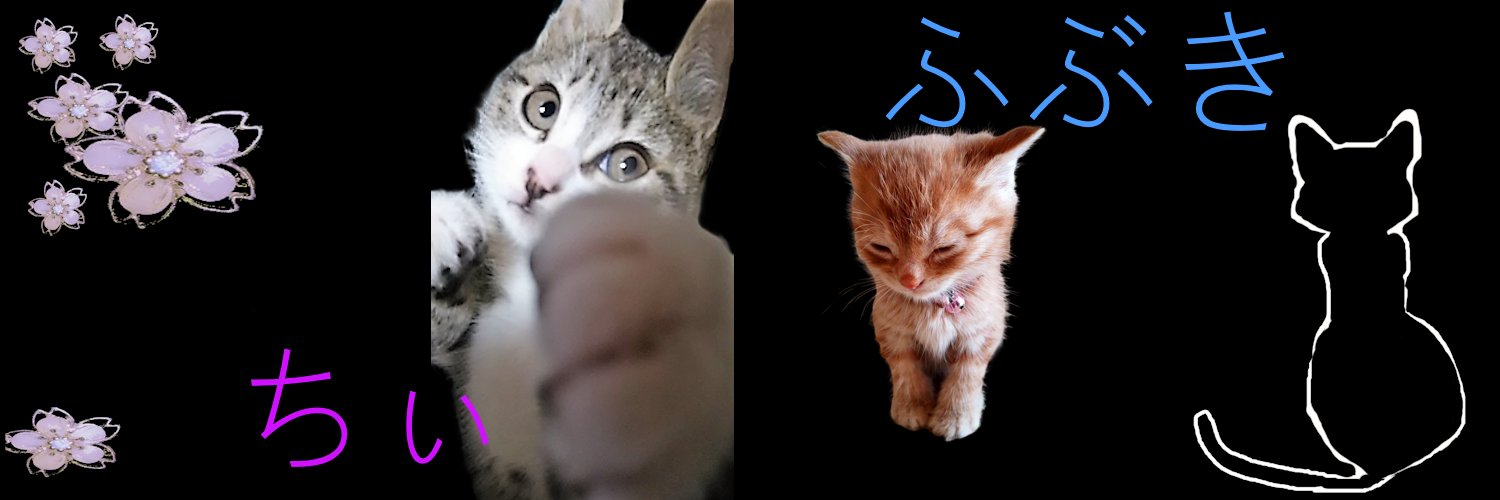 sakula0w0's profile banner image