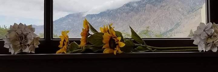 beththephyr's profile banner image