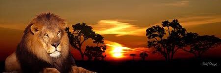andrew_voges's profile banner image