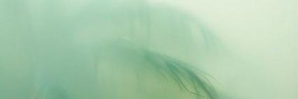 SusannaLinzi's profile banner image